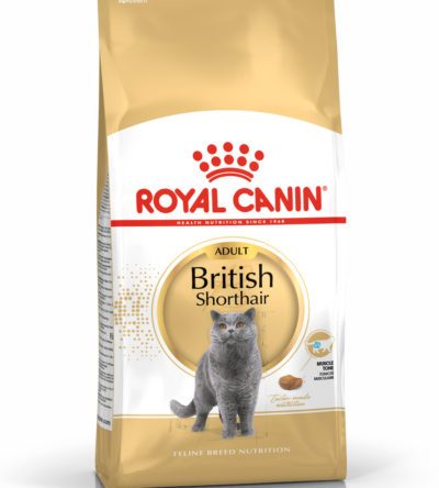 ROYAL CANIN British Shorthair  karma sucha dla kotów