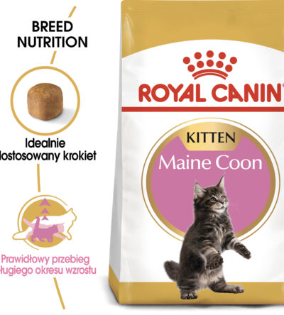 ROYAL CANIN Maine Coon Kitten karma sucha dla kociąt