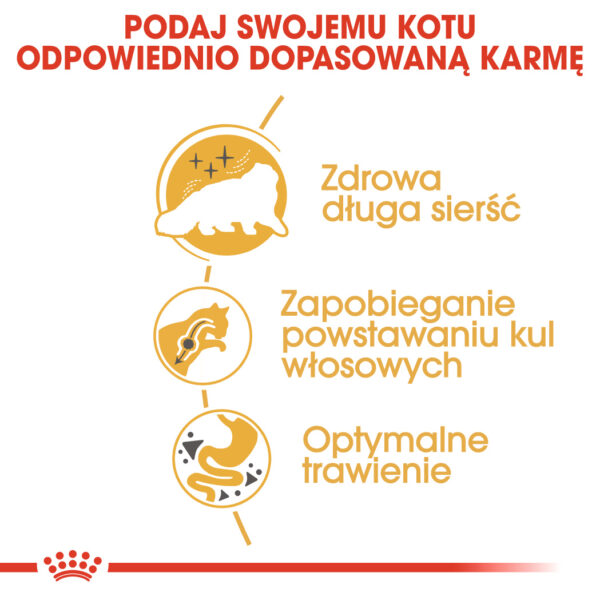 ROYAL CANIN Persian Adult  karma sucha dla kotów dorosłych rasy perskiej - Image 4