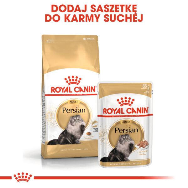 ROYAL CANIN Persian Adult  karma sucha dla kotów dorosłych rasy perskiej - Image 7