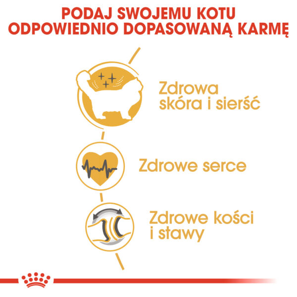 ROYAL CANIN Ragdoll Adult karma sucha dla kotów dorosłych rasy ragdoll - Image 4