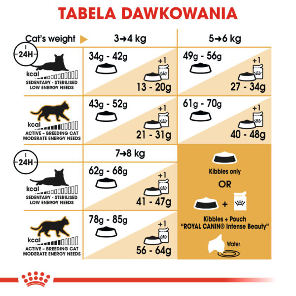 ROYAL CANIN Ragdoll Adult karma sucha dla kotów dorosłych rasy ragdoll - Image 7