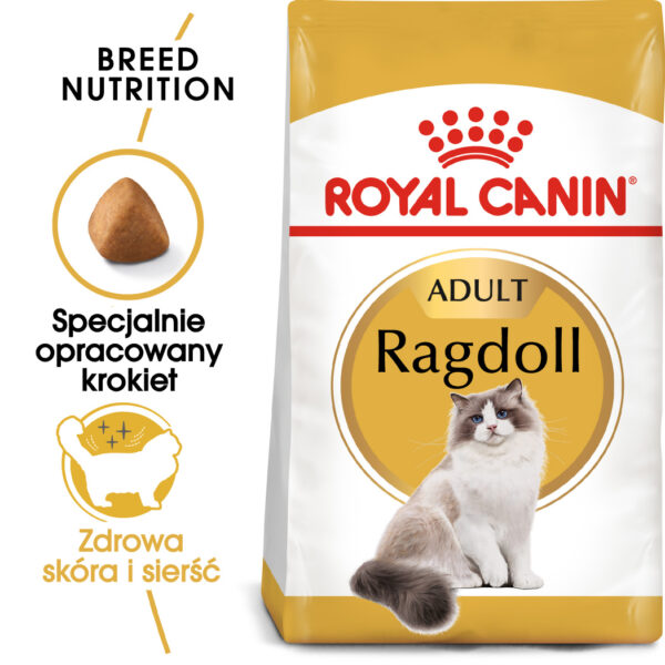 ROYAL CANIN Ragdoll Adult karma sucha dla kotów dorosłych rasy ragdoll