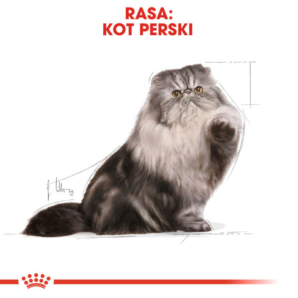 ROYAL CANIN Persian Adult  karma sucha dla kotów dorosłych rasy perskiej - Image 3