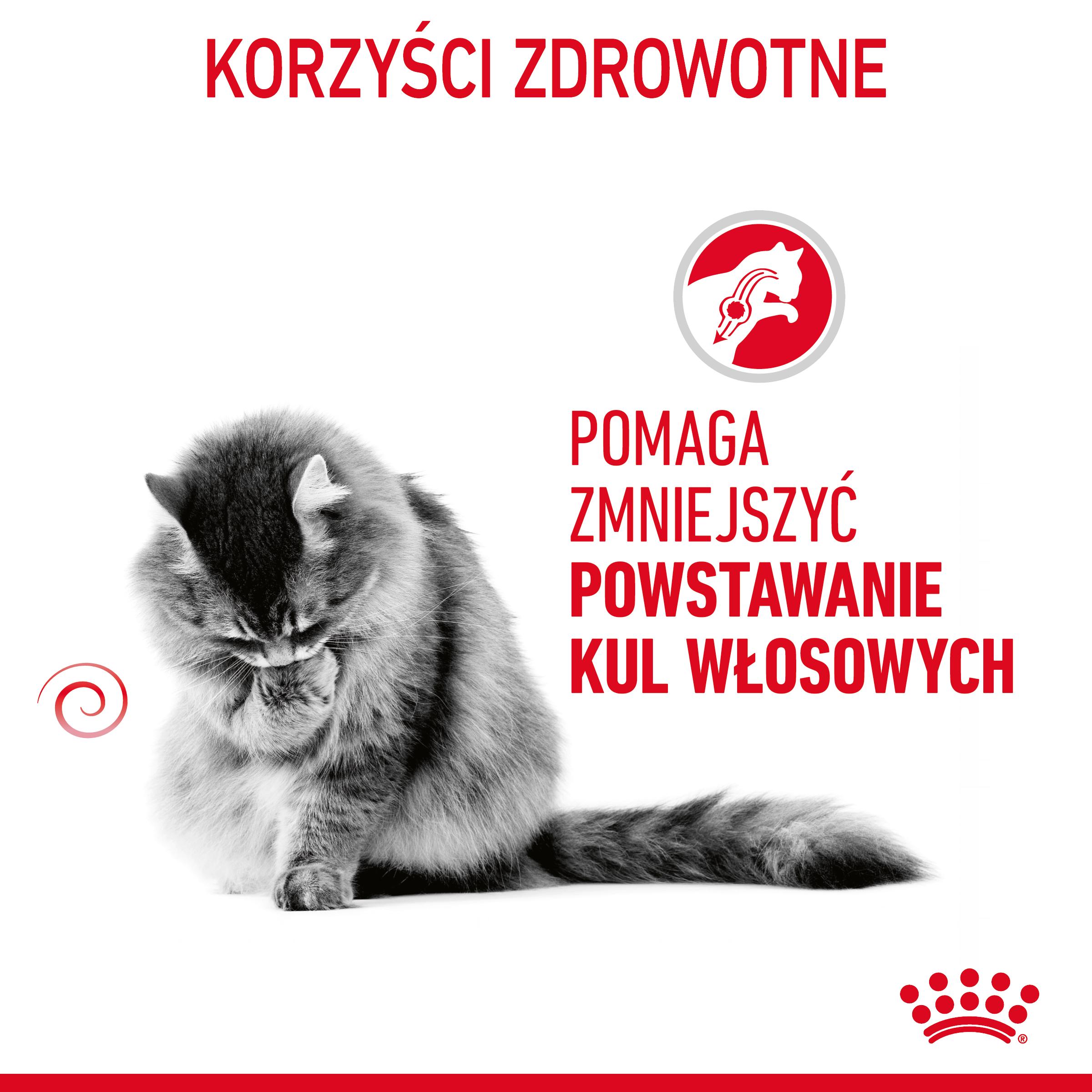 ROYAL CANIN® Hairball Care karma sucha dla kotów dorosłych, eliminacja kul włosowych - obrazek 4