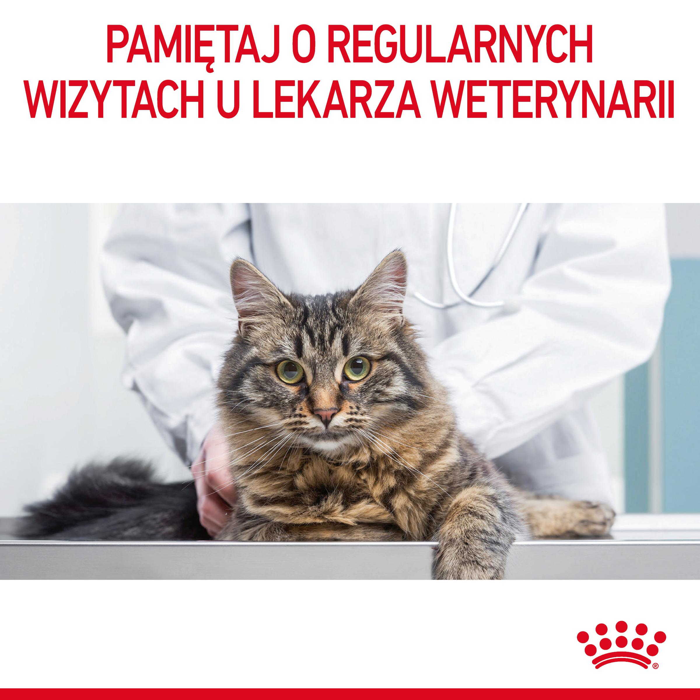 ROYAL CANIN® Hairball Care karma sucha dla kotów dorosłych, eliminacja kul włosowych - obrazek 11