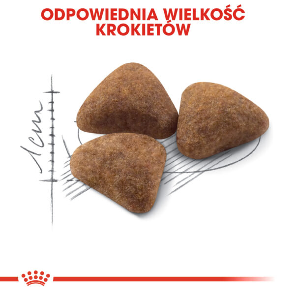ROYAL CANIN®Indoor 27 karma sucha dla kotów dorosłych - Image 5