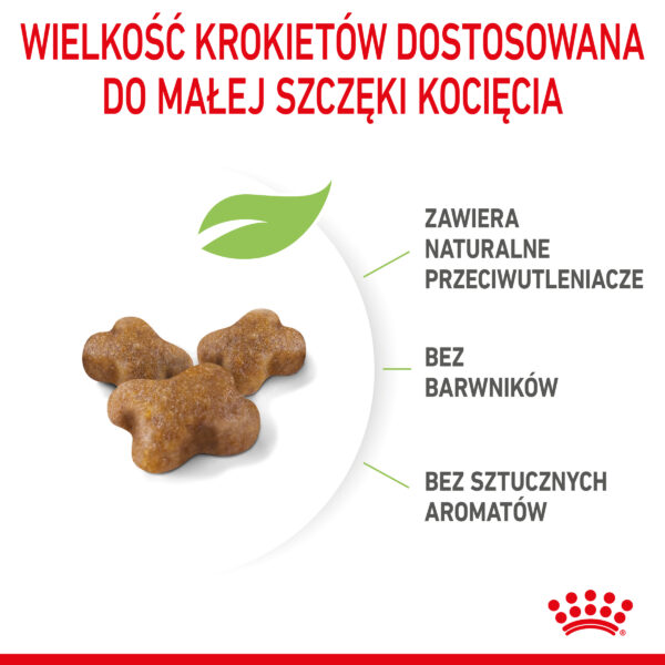 ROYAL CANIN Kitten karma sucha dla kociąt od 4 do 12 miesiąca życia - Image 5