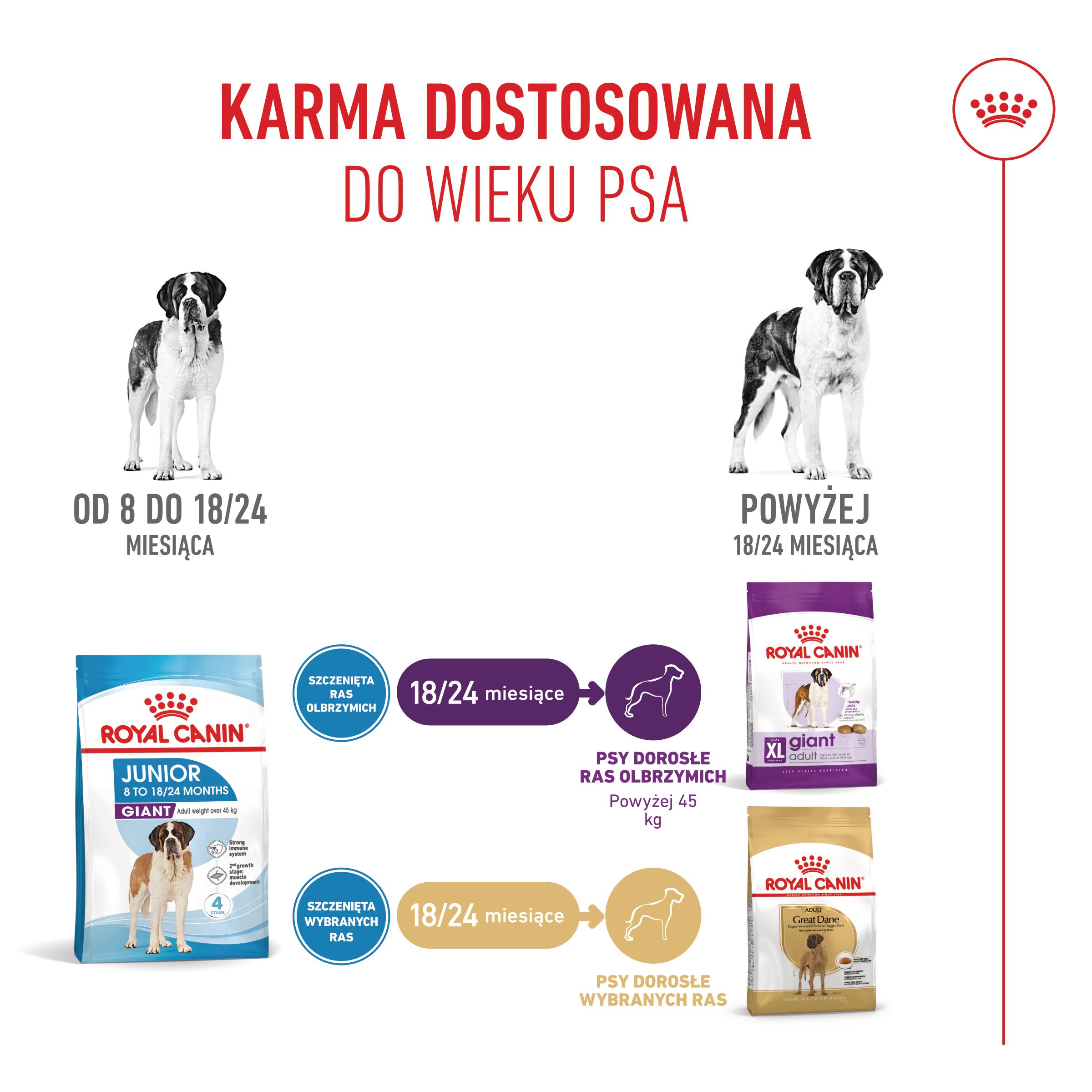 ROYAL CANIN® Giant Junior 15 kg karma sucha dla szczeniąt - Image 3
