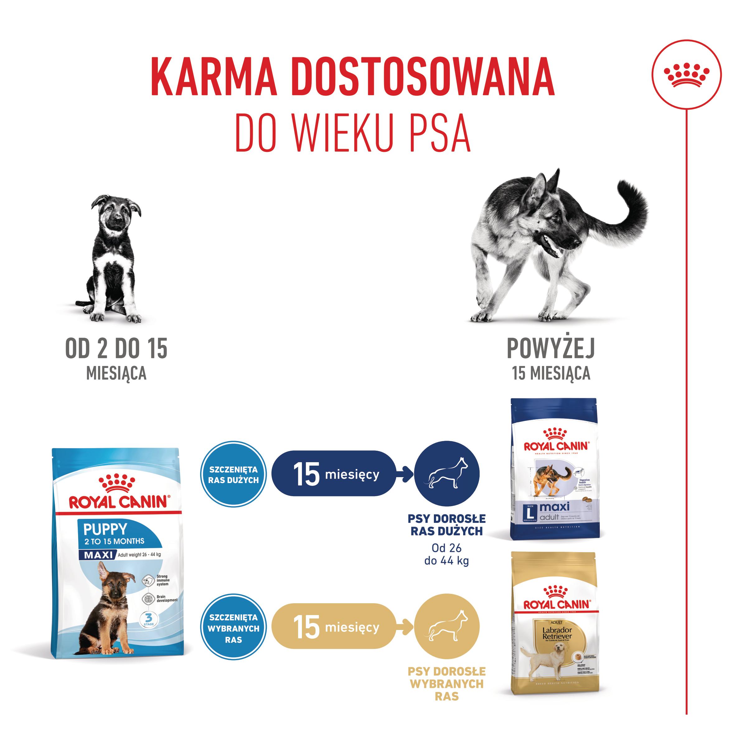 ROYAL CANIN® Maxi Puppy karma sucha dla szczeniąt, od 2 do 15 miesiąca życia, ras dużych - Image 6