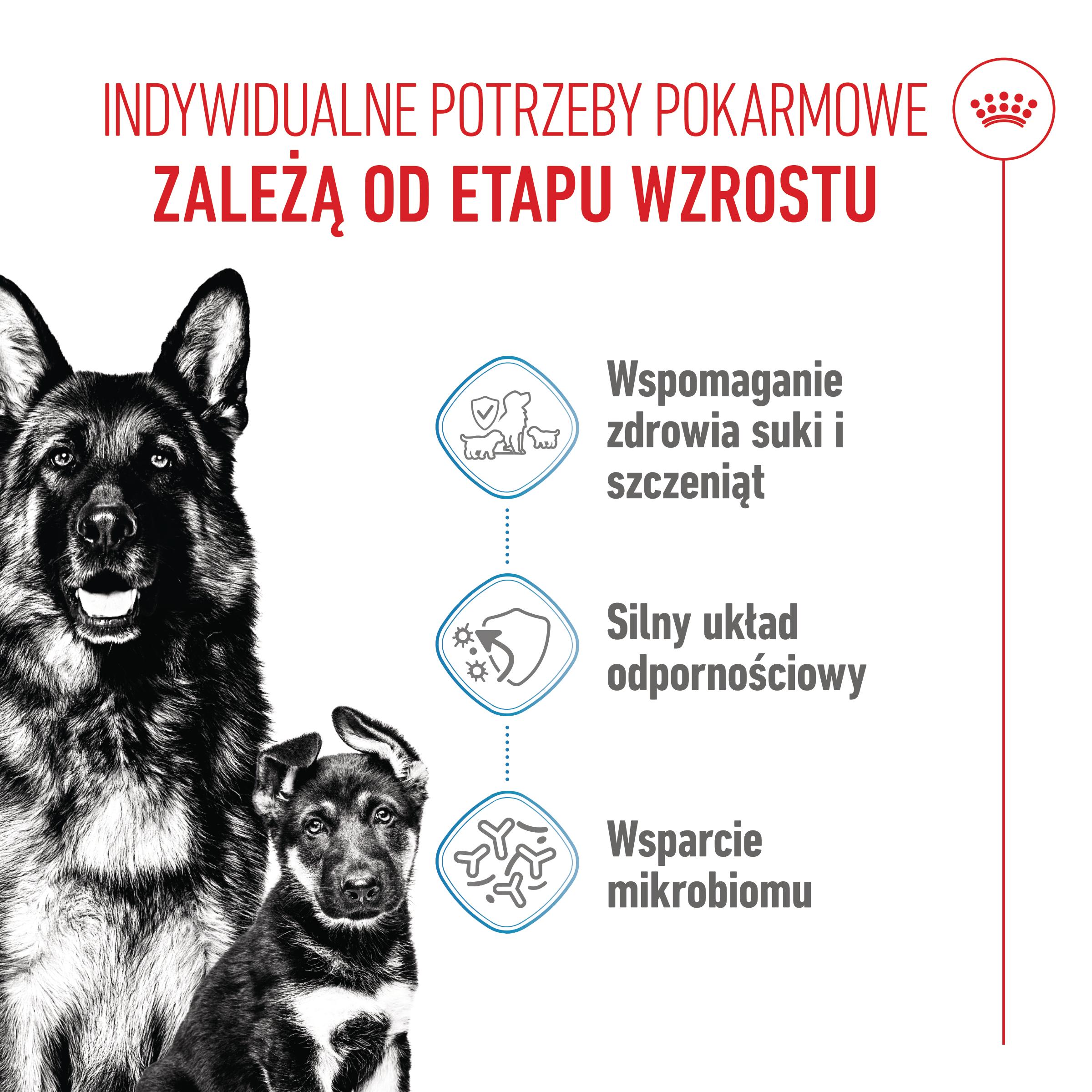 ROYAL CANIN® Maxi Starter Mother&Babydog karma sucha dla suk w ciąży i okresie laktacji oraz szczeniąt - Image 2