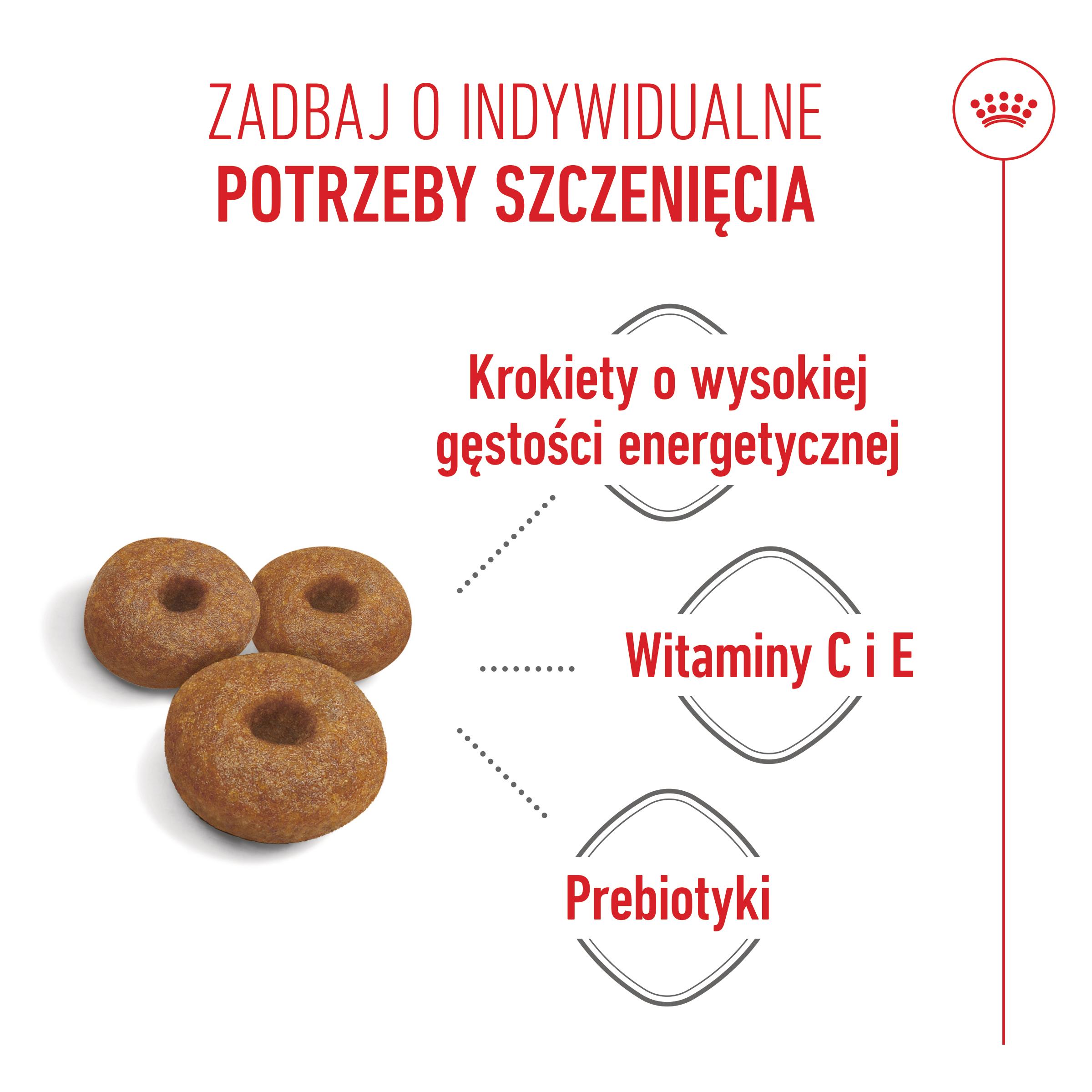 ROYAL CANIN® Maxi Starter Mother&Babydog karma sucha dla suk w ciąży i okresie laktacji oraz szczeniąt - Image 3