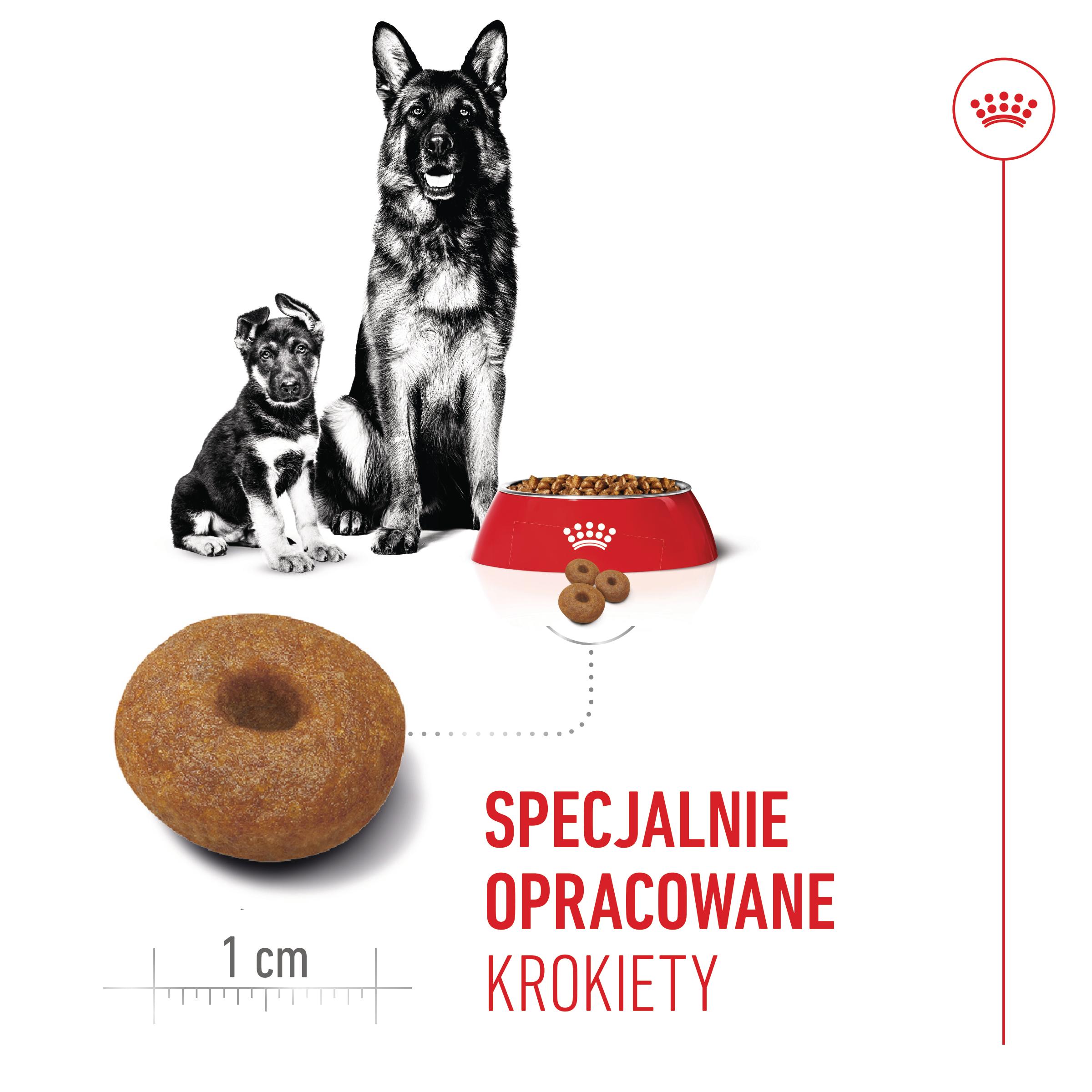 ROYAL CANIN® Maxi Starter Mother&Babydog karma sucha dla suk w ciąży i okresie laktacji oraz szczeniąt - Image 4
